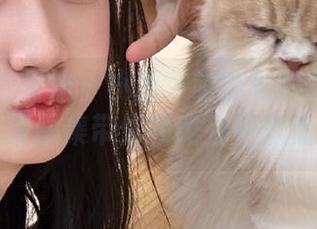 IMiss爱蜜社 – 小丽莎萌萌哒的精致美脚，高清图集带你领略别样风情.txt