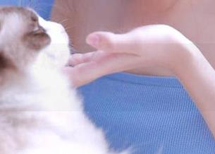 喵糖映画呈现夏日魅力，精选沐浴主题图片集锦.txt